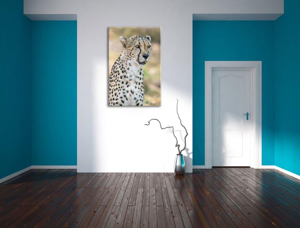 Pixxprint ausgewachsener Gepard auf Leinwand, XXL riesige Bilder fertig gerahmt mit Keilrahmen, Kuns