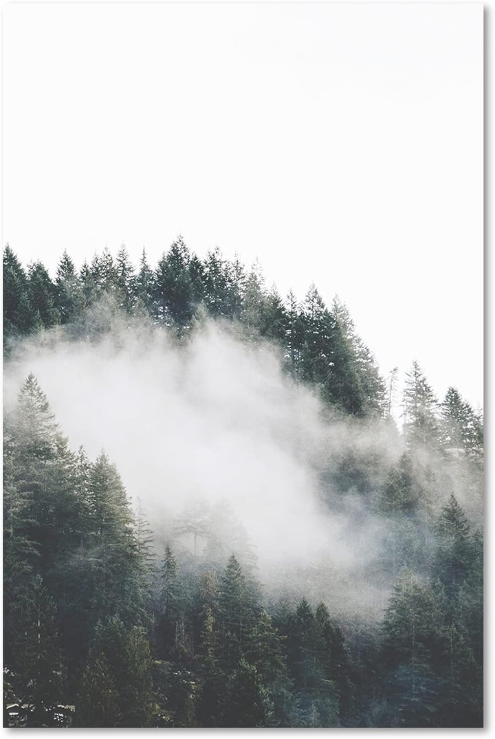 Feeby Vlies Leinwandbild Pflanzen Bäume Natur Wald 60x90 cm Druckbild Wandbild Wanddekoration Deko W