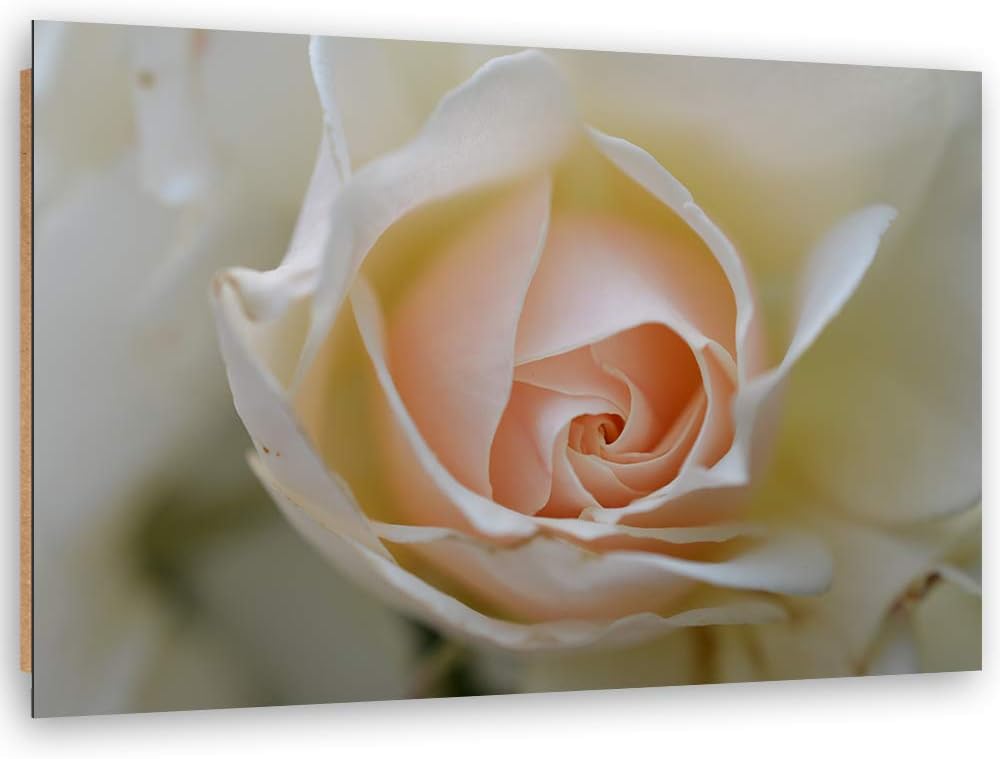 Wanddeko Blume Kunst modern Bilder Natur Beige 100x70 cm M14564 100x70 cm, M14564 100x70 cm
