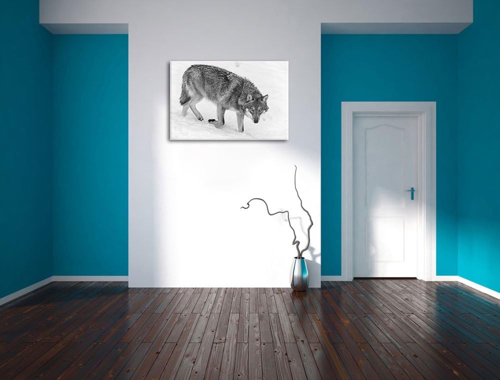 seltener Wolf im Schnee schwarz/weiss auf Leinwand, XXL riesige Bilder fertig gerahmt mit Keilrahmen