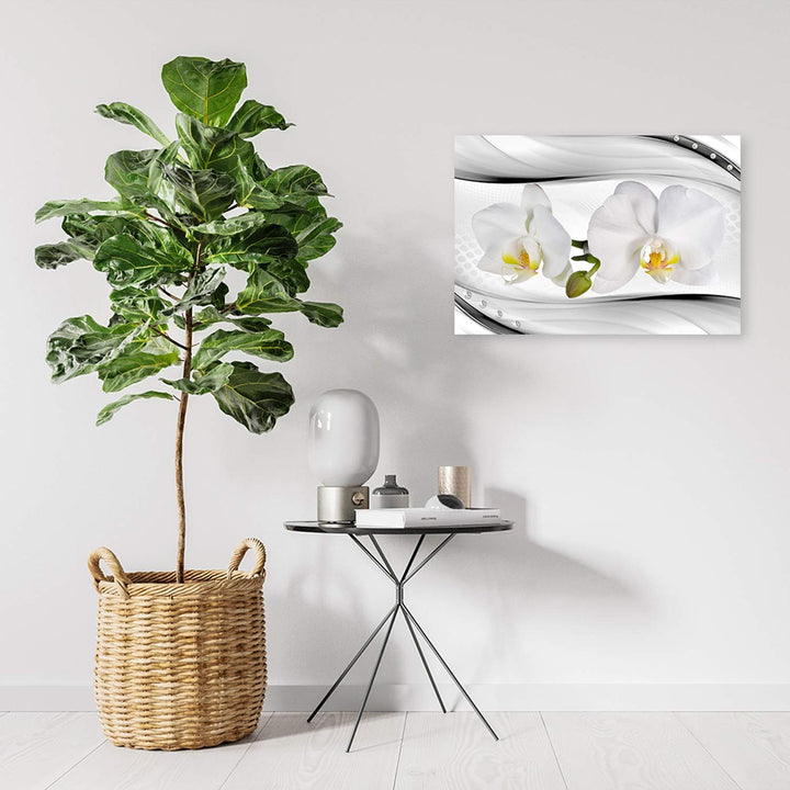 Feeby Leinwandbild Blumen Bild Kunstdruck Orchideen Weiss 70x50 cm Leinwandbild 70x50 cm Weiss_a, Le