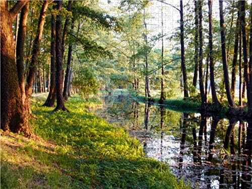 CALVENDO Puzzle Fliess im Spreewald 1000 Teile Lege-Grösse 64 x 48 cm Foto-Puzzle Bild von Veronika