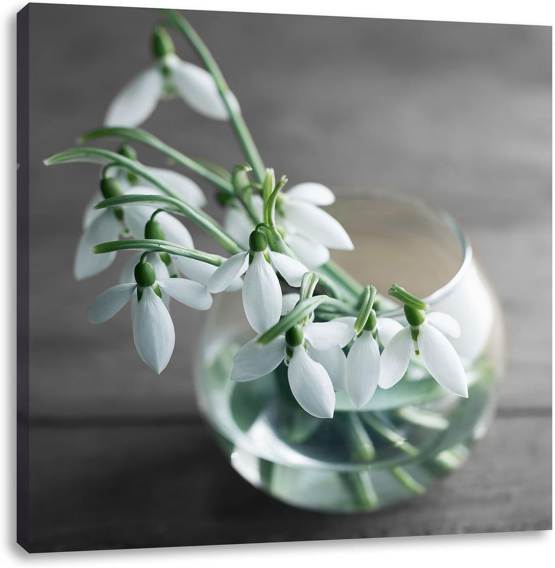 Pixxprint Schneeglöckchen in der Vase Schwarz/Weiss, Format: 70x70 auf Leinwand, 70x70