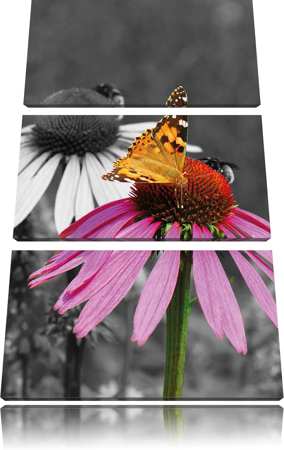 Pixxprint Schmetterling auf Kornblume als Leinwandbild/Grösse: 3 Teilig (120x80) cm/Wandbild/Kunstdr
