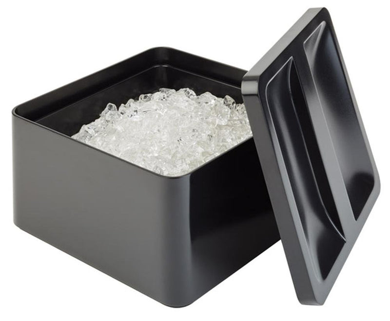 APS 93220 Eisbox, 27 x 27 cm, Höhe 15 cm, Volumen 5 Liter, Box + Deckel aus SAN, Innenbehälter aus P