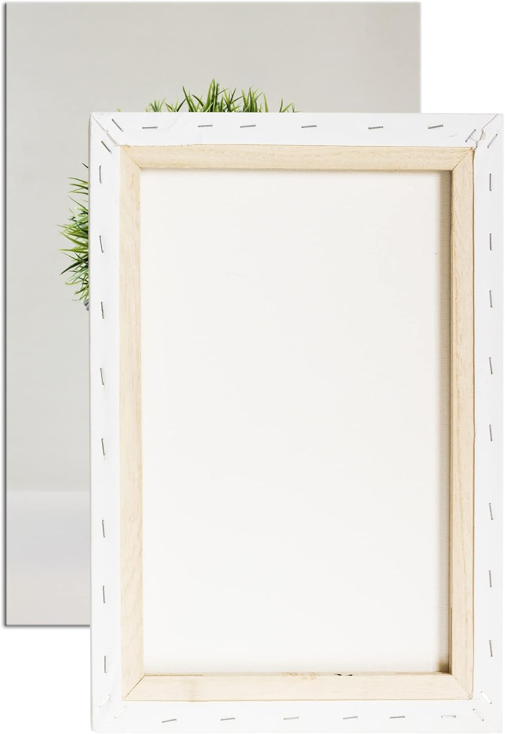 deyoli Schilf im Blumentopf im Format: 60x40 als Leinwandbild, Motiv fertig gerahmt auf Echtholzrahm