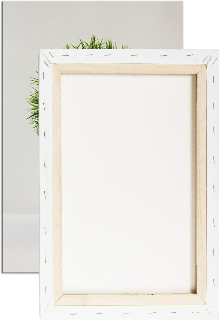 deyoli Schilf im Blumentopf im Format: 60x40 als Leinwandbild, Motiv fertig gerahmt auf Echtholzrahm