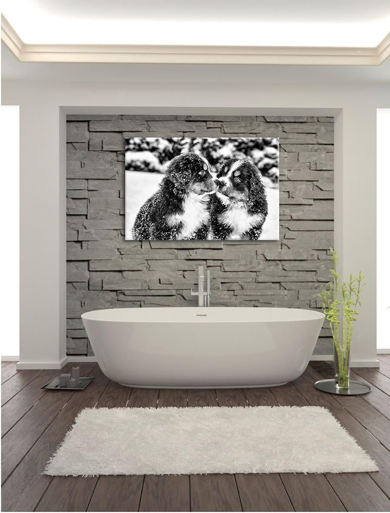 Pixxprint Bernersennen Hunde Welpen / 100x70cm Leinwandbild bespannt auf Holzrahmen/Wandbild Kunstdr