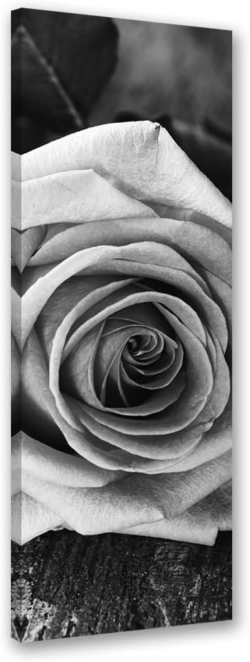 Feeby Wandbild Rose Druckbild Leinwandbild abstrakt schwarz-weiss 40x120 cm Leinwandbild 40x120 cm S