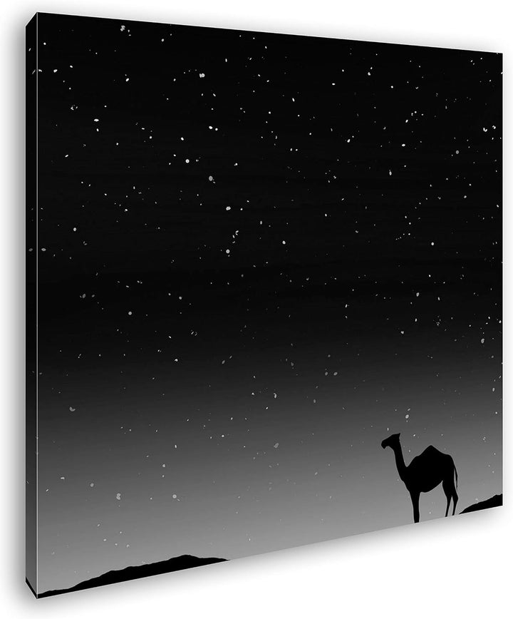 deyoli Illustration Kamel bei Abenddämmerung Format: 60x60 Effekt: Schwarz&Weiss als Leinwandbild, M