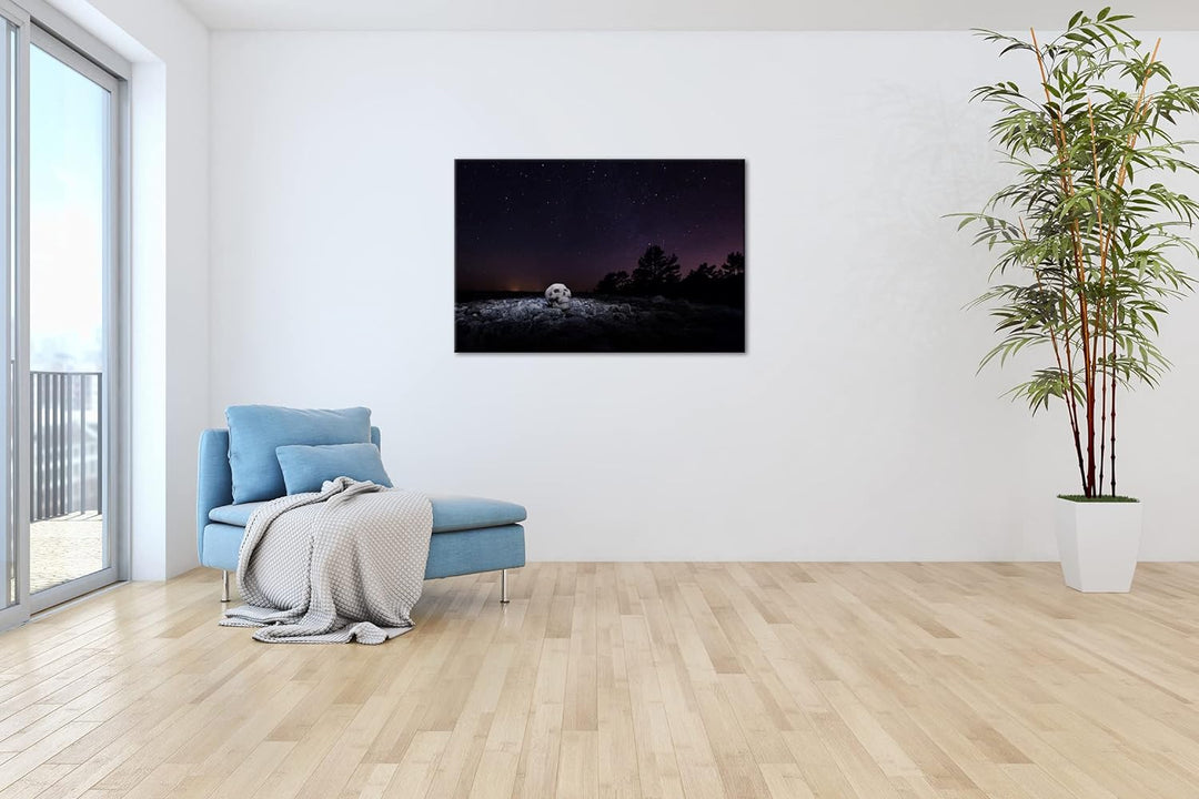 deyoli Dark Schädel mit Sternen im Himmel im Format: 80x60 als Leinwandbild, Motiv fertig gerahmt au