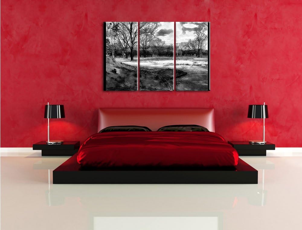Pixxprint düstrer Wald als Leinwandbild/Grösse: 3 Teilig (120x80) cm/Wandbild/Kunstdruck/fertig besp