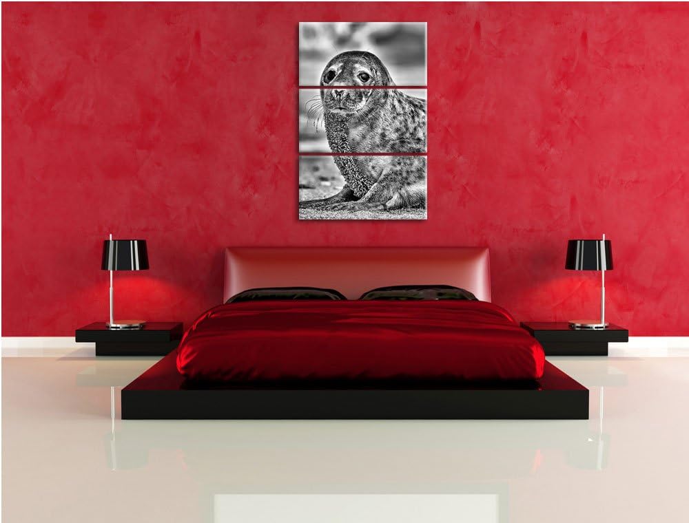 Pixxprint Monocrome, niedliche Robbe am Strand 3-Teiler Leinwandbild 120x80 Bild auf Leinwand