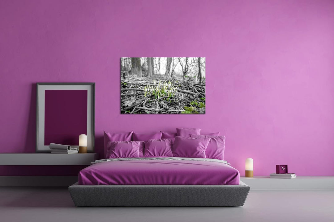 deyoli Der Frühling kommt - wachsende Schneeglöckchen Format: 80x60 als Leinwand, Motiv fertig gerah