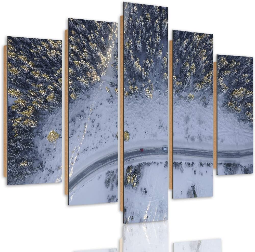 Bilder 5 Teilig Landschaft Deco Panel Kunst Winter Wald Weg Bäume bunt 100x70 cm Deco panel 100x70 c