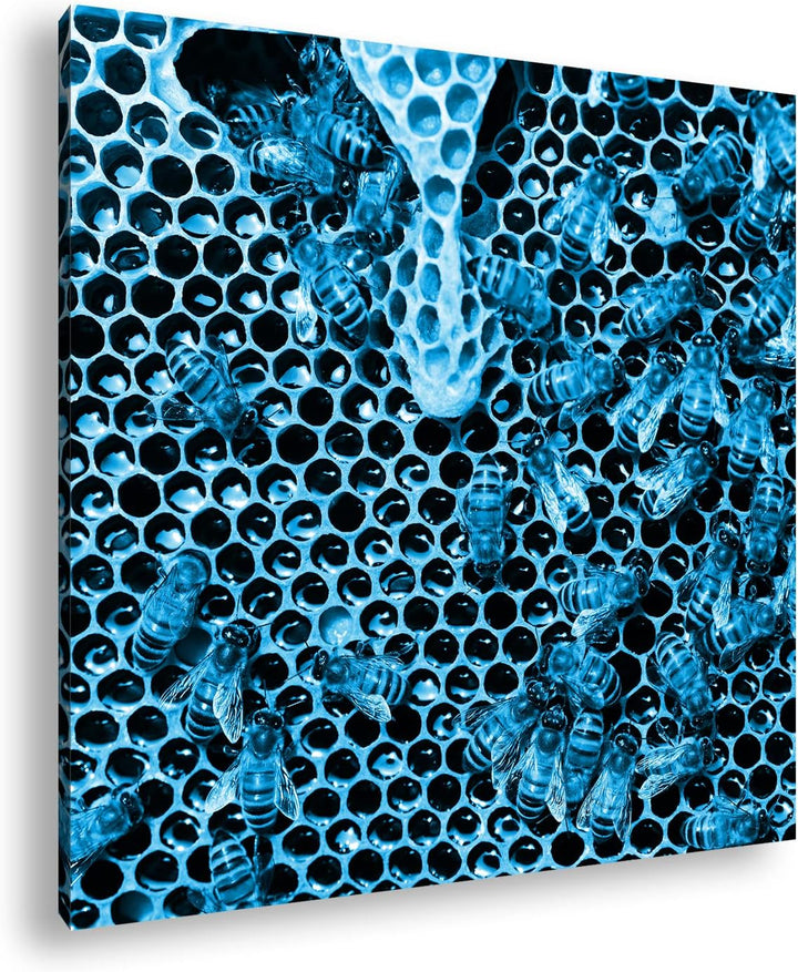 deyoli Honigwabe mit Bienen im Format: 70x70 Effekt: Zeichnung als Leinwandbild, Motiv auf Echtholzr