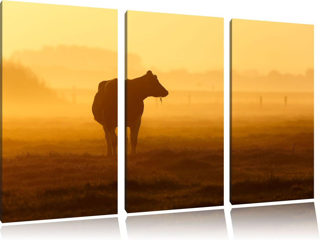 Pixxprint eine fressende Kuh auf der Weide als Leinwandbild - Grösse: 3-Teilig (120x80cm) - Wandbild
