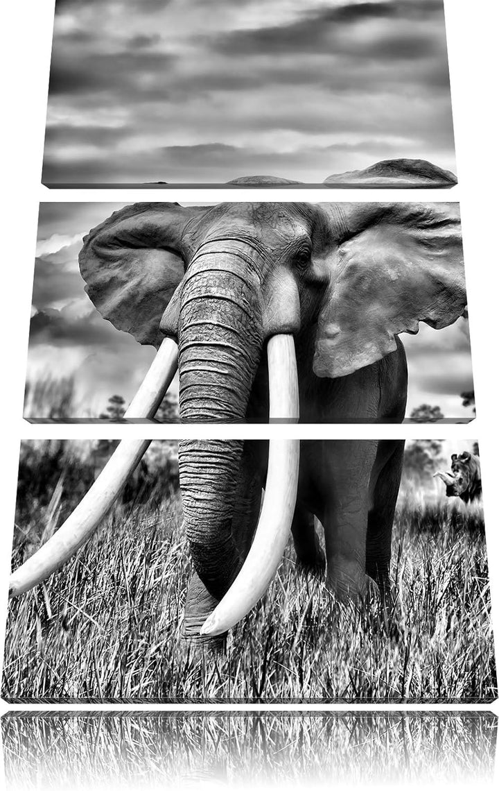 Pixxprint Stolzer Elefant in Savanne als Leinwandbild/Grösse: 3 Teilig (120x80) cm/Wandbild/Kunstdru