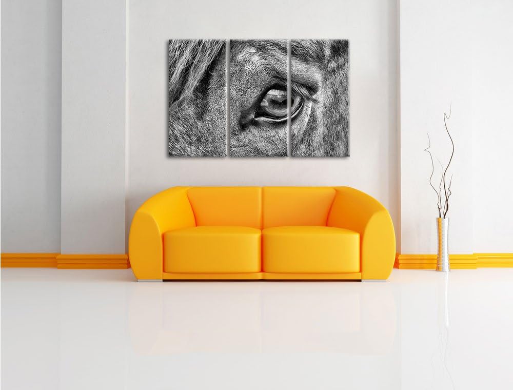 Pixxprint sanfte grosse Pferdeaugen als Leinwandbild/Grösse: 3 Teilig (120x80) / Wandbild/Kunstdruck