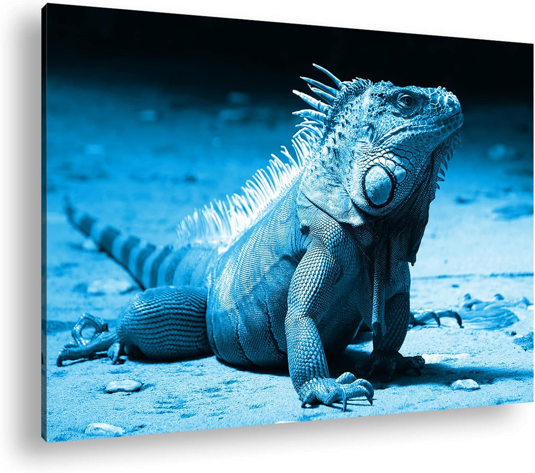 deyoli edler grüner Leguan Format: 80x60 Effekt: Monocrome Blau als Leinwand, Motiv fertig gerahmt a