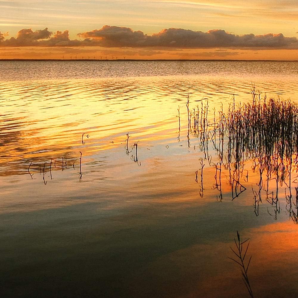 Feeby Wandbild Natur 200x100 cm Deco Panel 5 Teilig XXL Kunstdruck See Himmel orange Deco Panel XXL