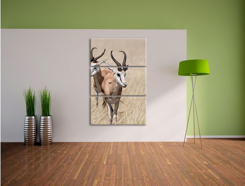 Pixxprint Tiere in Savanne Rehe Afrika als Leinwandbild/Grösse: 3 Teilig (120x80) cm/Wandbild/Kunstd