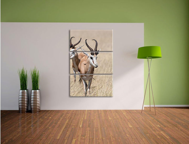 Pixxprint Tiere in Savanne Rehe Afrika als Leinwandbild/Grösse: 3 Teilig (120x80) cm/Wandbild/Kunstd