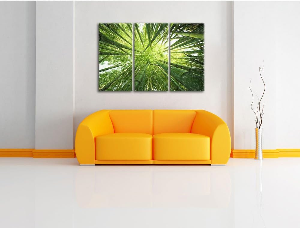 Pixxprint Bambus / 3-Teilig/Gesamtmass 120cm Leinwandbild bespannt auf Holzrahmen/Wandbild Kunstdruc