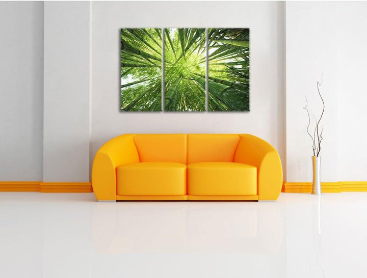 Pixxprint Bambus / 3-Teilig/Gesamtmass 120cm Leinwandbild bespannt auf Holzrahmen/Wandbild Kunstdruc