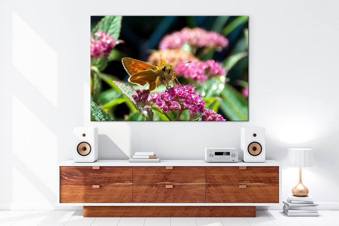 deyoli schöner Falter auf violetter Blume im Format: 80x60 als Leinwandbild, Motiv fertig gerahmt au