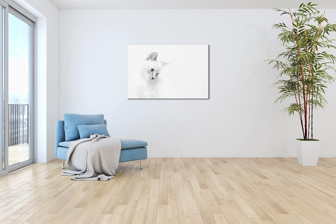 deyoli schneeweisses Kätzchen Effekt: Schwarz&Weiss, Format: 80x60 als Leinwandbild, Motiv fertig ge