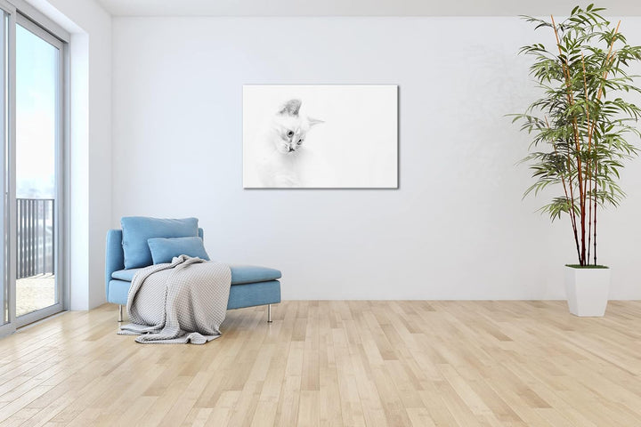 deyoli schneeweisses Kätzchen Effekt: Schwarz&Weiss, Format: 80x60 als Leinwandbild, Motiv fertig ge