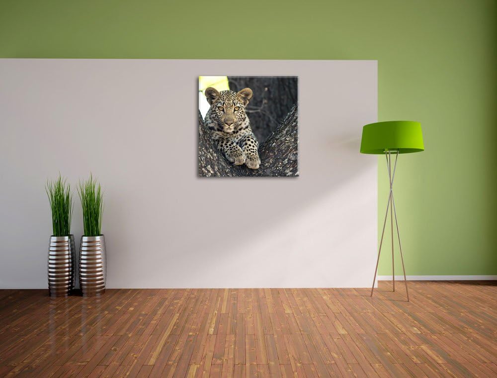 Pixxprint Leopardenbaby, Format: 70x70 auf Leinwand, XXL riesige Bilder fertig gerahmt mit Keilrahme