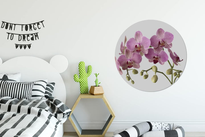 MuchoWow Wandbild Rund Wanddeko Deko Wohnzimmer Bilder 90x90 cm Orchideen auf grauem Hintergrund, 90