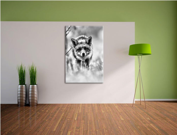 Pixxprint Schleichender Fuchs / 100x70cm Leinwandbild bespannt auf Holzrahmen/Wandbild Kunstdruck De