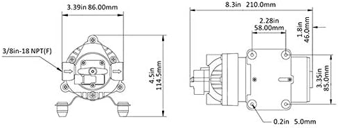 LIGHTEU® Seaflo DC 12V 5.5LPM/1.5GPM 31S 5.5Bar, Max Draw 8.0A, selbstansaugende Hochdruck Membranpu