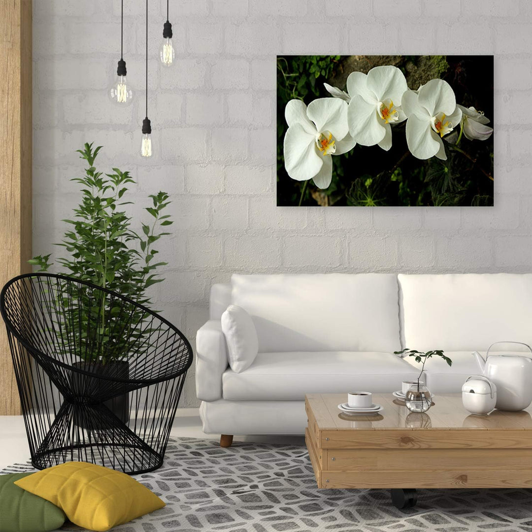 Feeby Wandbild Orchideen Druckbild Leinwandbild Blumen Weiss 100x70 cm Leinwandbild 100x70 cm Weiss_