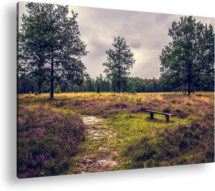 deyoli einsame Bank im Wald Format: 80x60 als Leinwand, Motiv fertig gerahmt auf Echtholzrahmen, Hoc
