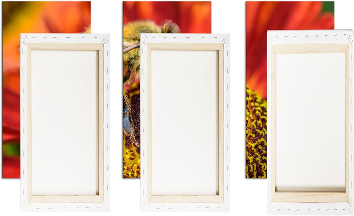 deyoli Biene beim Pollen sammeln Format: 3Teilig als Leinwandbild, Motiv fertig gerahmt auf Echtholz