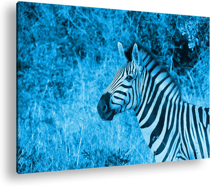 deyoli edles Zebra Format: 100x70 Effekt: Monocrome Blau als Leinwand, Motiv fertig gerahmt auf Echt