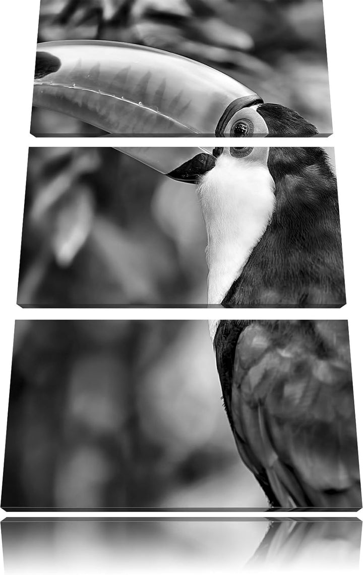 Pixxprint Bunter Tukan als Leinwandbild/Grösse: 3 Teilig (120x80) cm/Wandbild/Kunstdruck/fertig besp