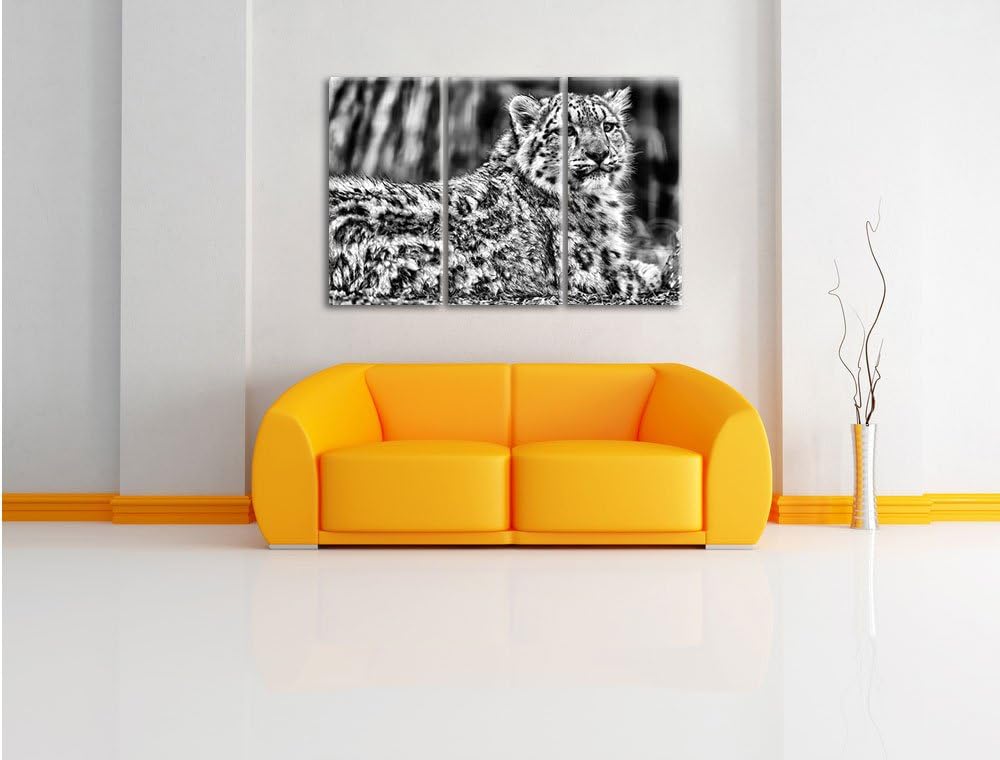 Pixxprint Monocrome, anmutiger Schneeleopard 3-Teiler Leinwandbild 120x80 Bild auf Leinwand