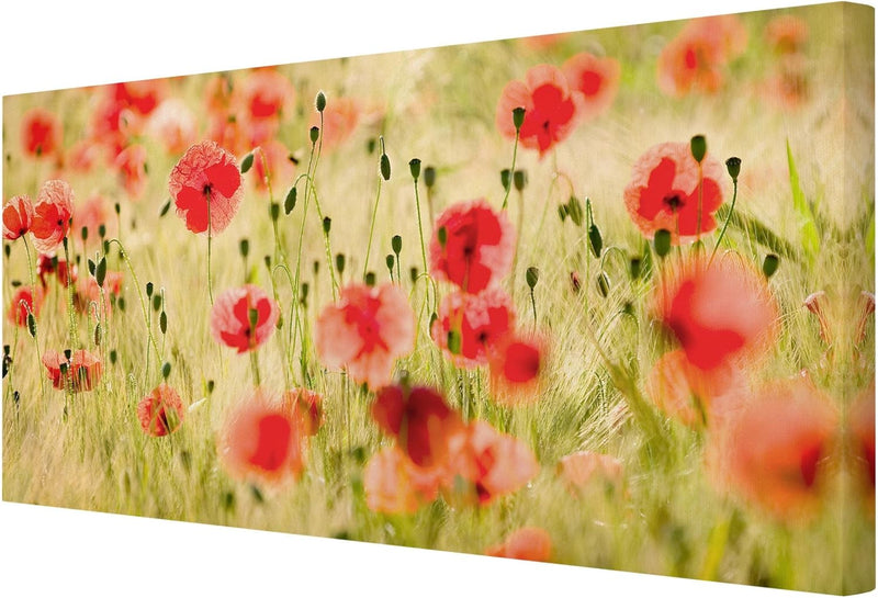 Bilderwelten Leinwandbild - Summer Poppies - Quer 1:2, 30cm x 60cm, 30cm x 60cm