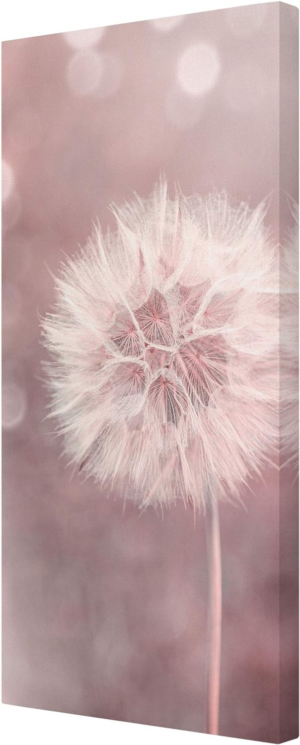 Bilderwelten Leinwandbild Pusteblume Bokeh rosa 60 x 30cm Recycled Canvas 60cm x 30cm - Recycled Can