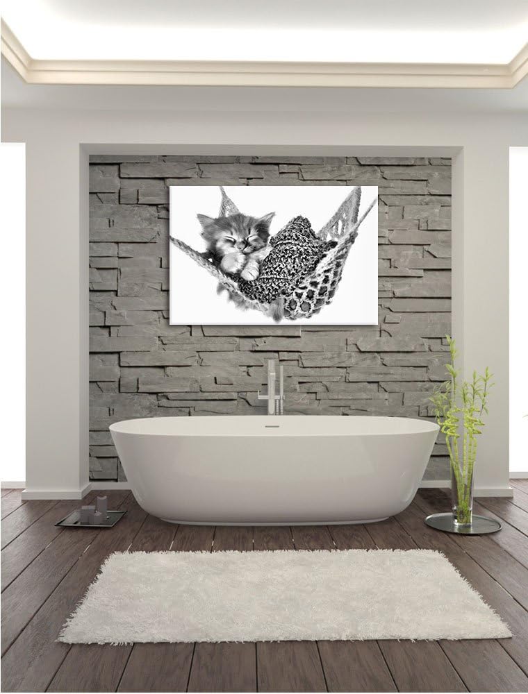 Pixxprint Katzenbaby Hängematte als Leinwandbild/Grösse: 100x70 / Wandbild/Kunstdruck/fertig bespann