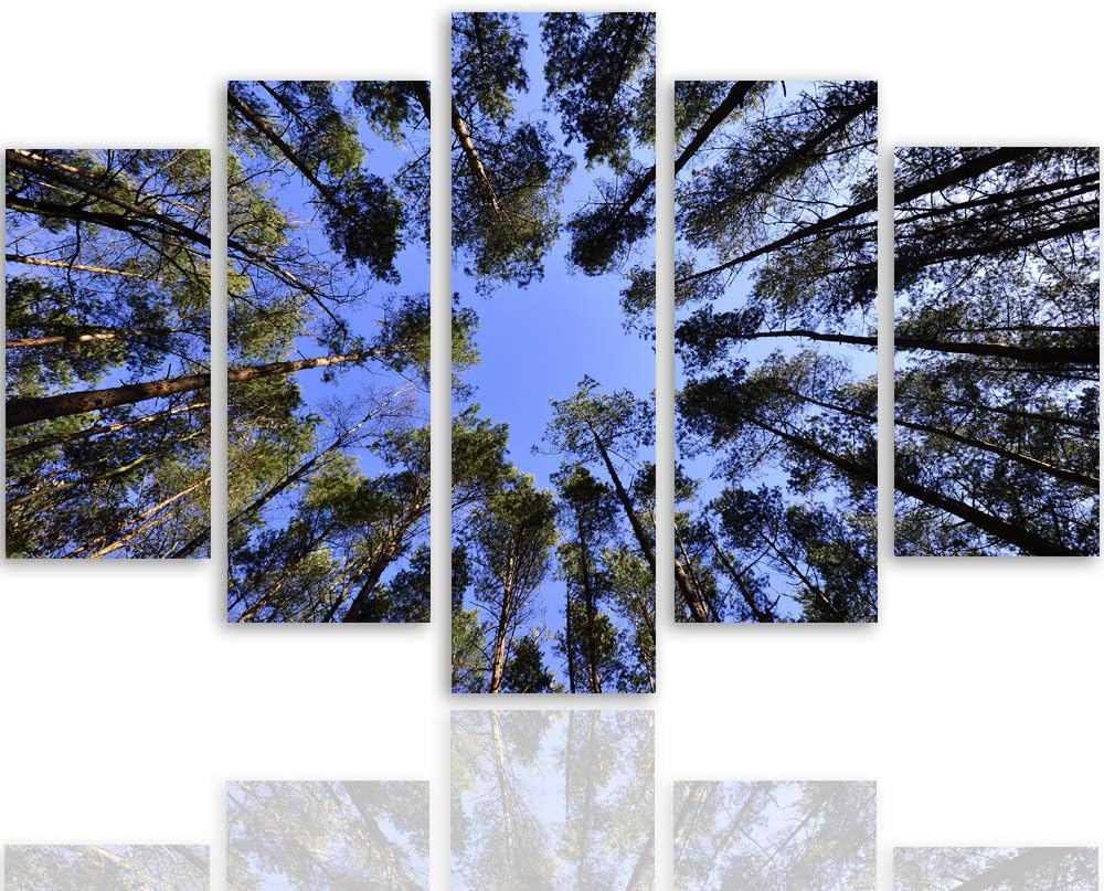 Bilder 5 Teilig Abstrakt Deco Panel Kunst Landschaft Wald Bäume blau 100x70 cm Deco panel 100x70 cm