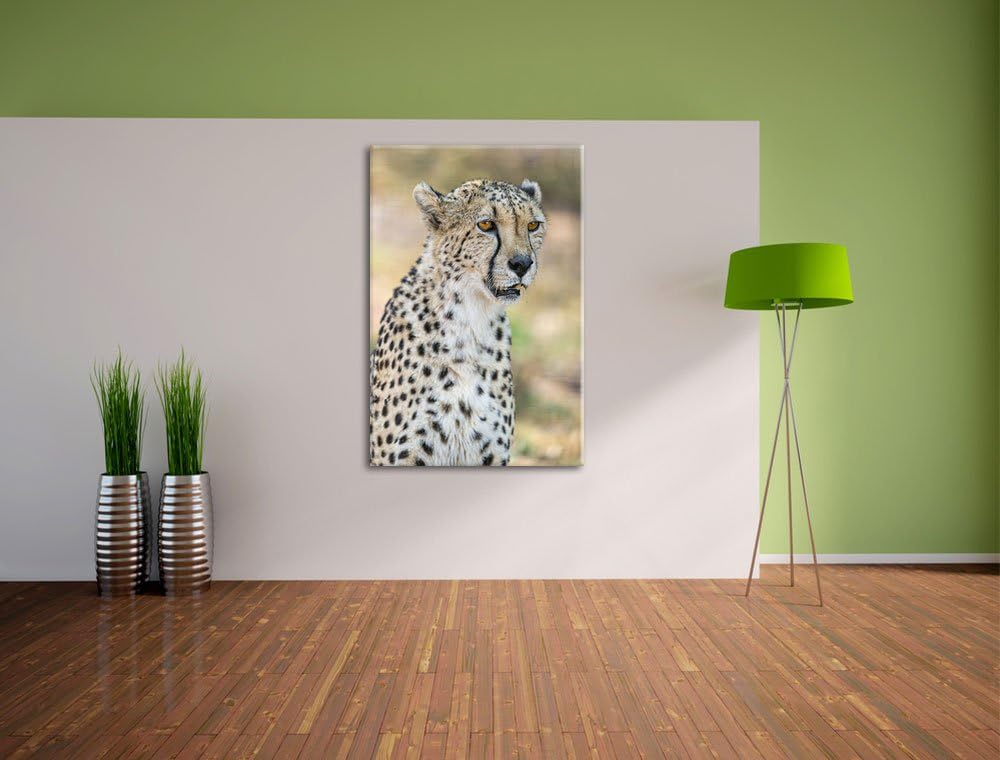 Pixxprint ausgewachsener Gepard auf Leinwand, XXL riesige Bilder fertig gerahmt mit Keilrahmen, Kuns