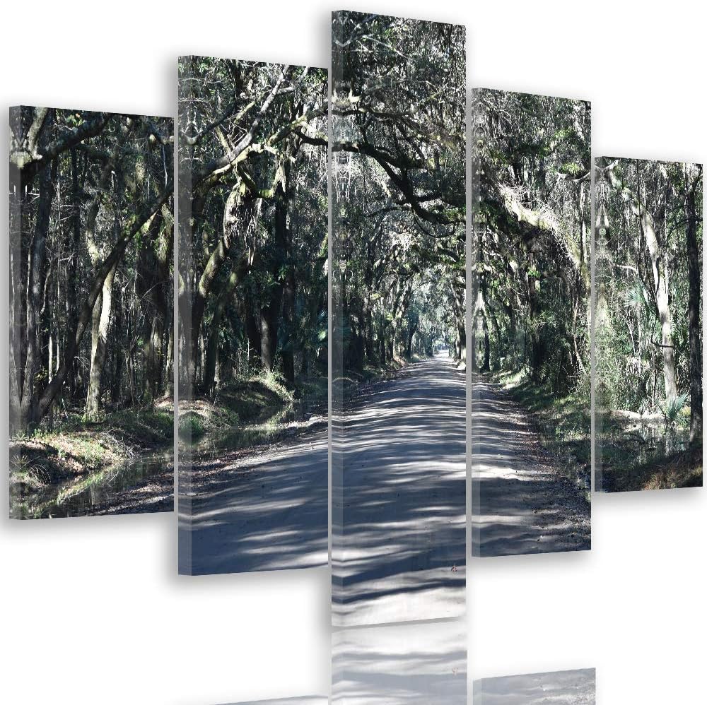 Feeby Leinwandbild 5 Teilig Landschaft Bild Wanddeko Weg Allee Wald Bäume grün 200x100 cm Leinwandbi