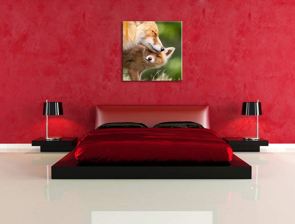 Kuschelnde Füchse, Format: 70x70 auf Leinwand, XXL riesige Bilder fertig gerahmt mit Keilrahmen, Kun