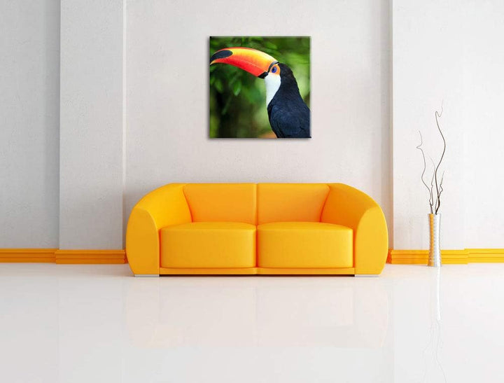 Pixxprint Bunter Tukan, Format: 70x70 auf Leinwand, XXL riesige Bilder fertig gerahmt mit Keilrahmen